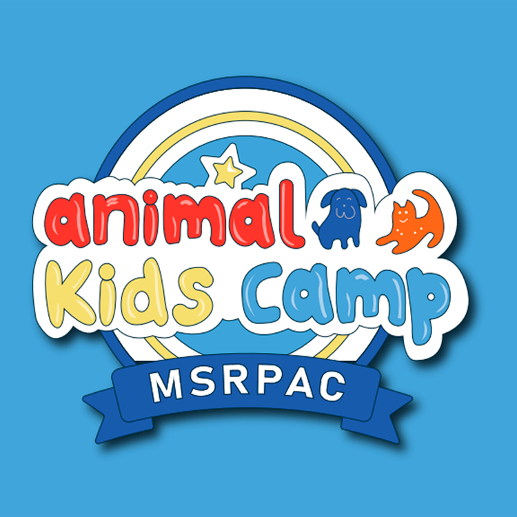 The redesigned Animal Kids Camp logo — cleaner, friendlier, built as scalable vector