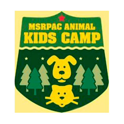 The original Animal Kids Camp logo before the redesign