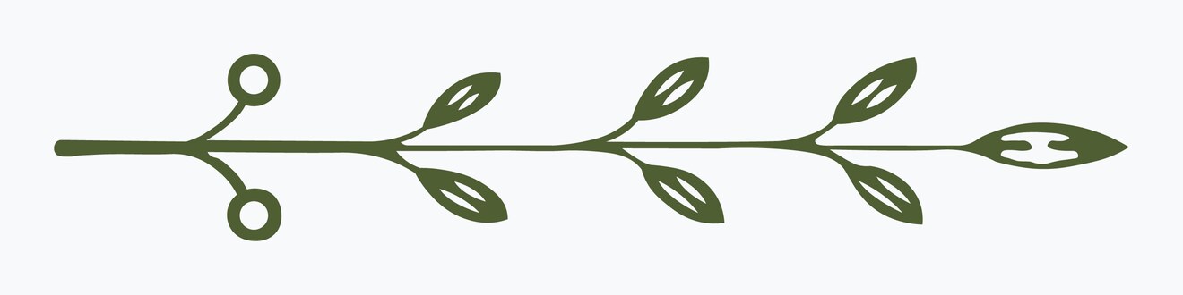 The standalone botanical sprig element — a leafed branch with two curled tendrils