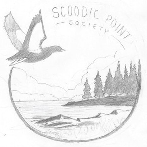Hand-drawn pencil concept sketches for the Schoodic Point mark — a guillemot in flight over a rocky shoreline framed by conifers in a circular badge